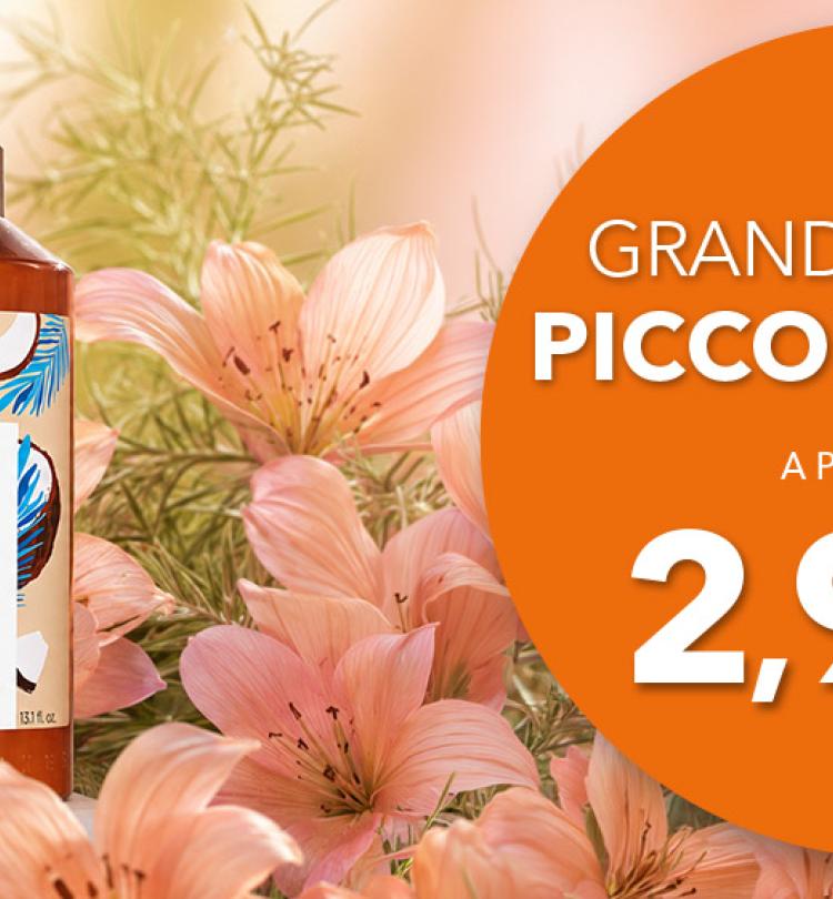 OFFERTE ESTIVE A PARTIRE DA 2.95€