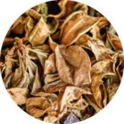 bollo vegetale ambre noir