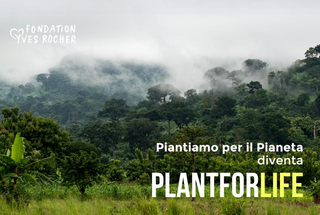 Homepage Yves Rocher Facilitamos el proceso de negociación de compra y venta de bienes y servicios, ofreciendo información validada, verificada y actualizada de proveedores, lo que permite a nuestros. www yves rocher it