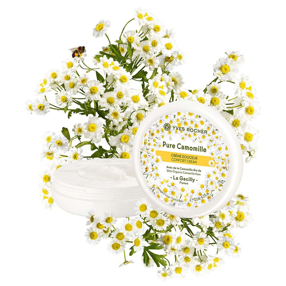Crema Dolcezza Viso & Corpo alla Camomilla