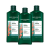 Set Shampoo Purezza 3x2